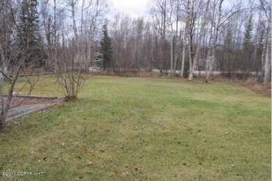 Summer / Front Yard