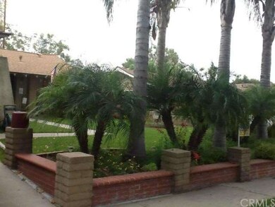 Nice palm trees in front yard