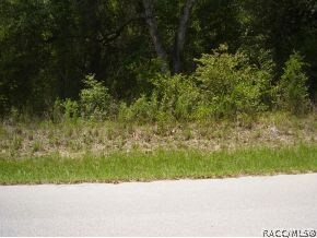 Natural FL foliage