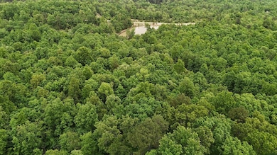 Tract 19 Pine Ridge Ln, Clinton Township, MO 65689 - photo 6