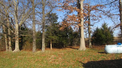 010 Back yard.JPG