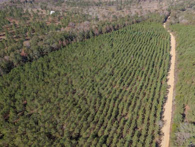 000 Avera Rd, Roberta, GA 31078 - photo 6