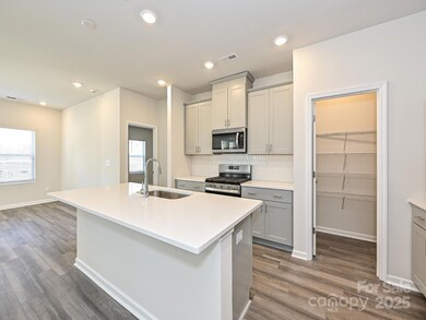 716 Palmer Pendleton Way, York, SC 29745 - photo 2