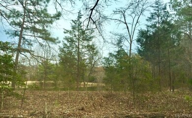 0 Cross Corner(lot 1) Rd unit 1906727, Ashland, VA 23005 - photo 4