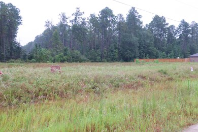 1715 Haidlyns Way, Sour Lake, TX 77659 - photo 4