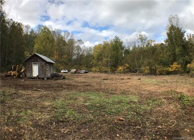 Recently cleared open pasture