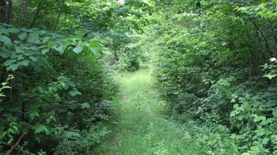 0 Meadow Rd unit 1214505, Stow, ME 04037 - photo 4