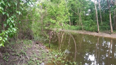 177 Hale Camp Rd, Doyline, LA 71023 - photo 2