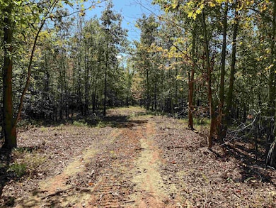 0 Bethuel Rd unit Lot 14, Unincorporated, TN 38053 - photo 4