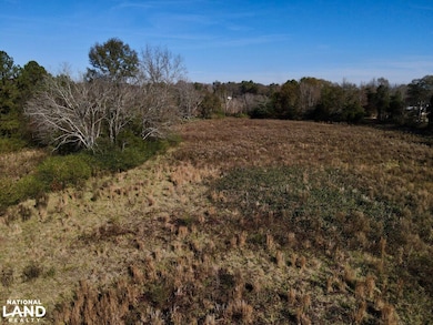 0001 Hwy 231, Vincent, AL 35178 - photo 7