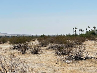 0 Double O Rd unit NDP2506291, Borrego Springs, CA 92004 - photo 3