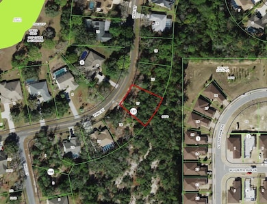 149 Pine St, Sugarmill Woods, FL 34446 - photo 2