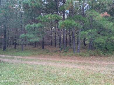 37 Pearl Harbor Dr, Seabrook, SC 29940 - photo 5