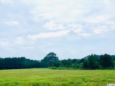 TBD W Brownway Cir, Conway, SC 29527 - photo 3