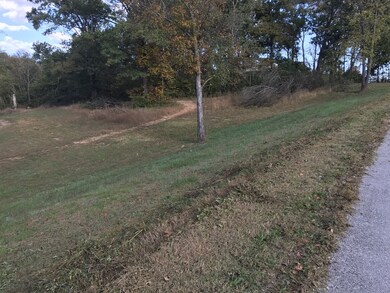 131 Temple Ford Rd, Shelbyville, TN 37160 - photo 4