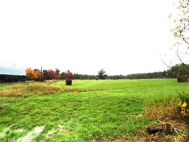 48127 Kestrel Ave, Tamarack, MN 55787 - photo 7