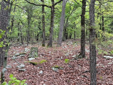 003 E Bolen Hollow W, Pittsburg, OK 74560 - photo 7