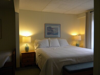 28 Packard Rd unit 411, Waterville Valley, NH 03215 - photo 4
