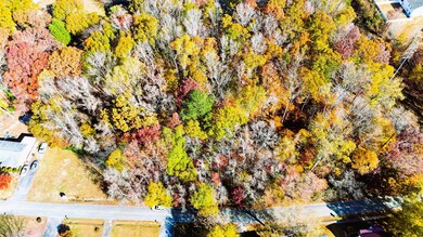 0000000 Poplar St, Woodruff, SC 29388 - photo 3