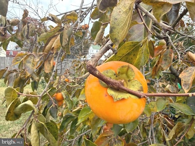 21660 N Essex Dr, Lexington Park, MD 20653 - photo 4