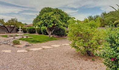 Huge Yard
