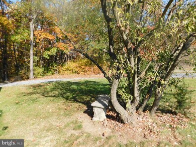 2754 & 2744 Millwood Pike, Winchester, VA 22602 - photo 6