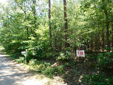 3.50 AC Neals Corner Rd, Clover, VA 24534 - photo 6