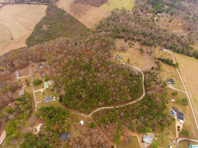 0 Page Cir unit 21438381, Alexandria, AL 36250 - photo 2