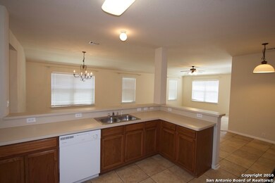 3706 Sausalito Fern, San Antonio, TX 78261 - photo 7