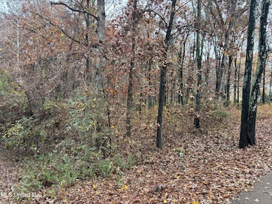 0 Alexander Dr, Olive Branch, MS 38654 - photo 2