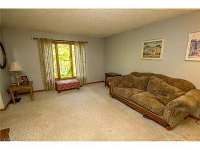 Spacious living room