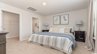 218 Carver Willow Dr, Loris, SC 29569 - photo 3