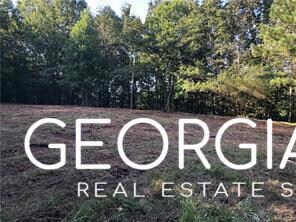 4143 Talking Rock Rd, Talking Rock, GA 30175 - photo 6