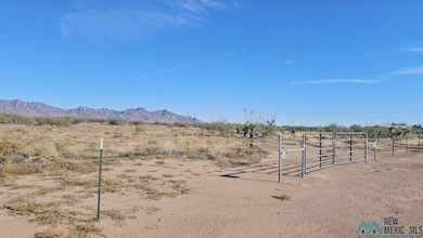 000 Sunshine Rd, Deming, WA 99030 - photo 6