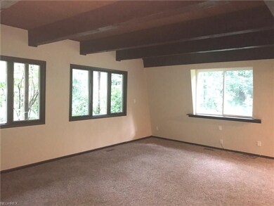 Living room with new carpet and awesome beams!