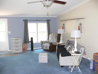 894 Dewitt Smith Rd, Pittsboro, NC 27312 - photo 2