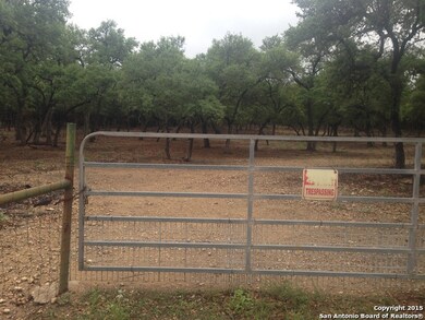 13250 Cepeda, Helotes, TX 78023 - photo 4