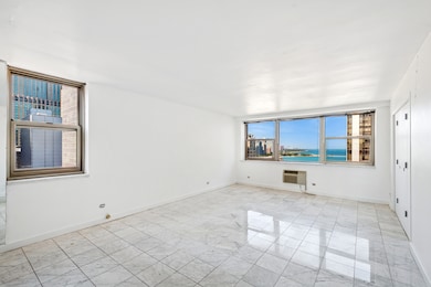 253 E Delaware Place unit 20G-E, Chicago, IL 60611 - photo 7