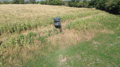 13367 Quail Ave, Bloomfield, IA 52537 - photo 5