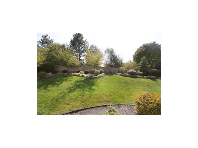 View from Back Door / Patio
