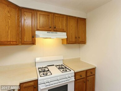 238 Bolivar Ave, Brooklyn, MD 21225 - photo 4