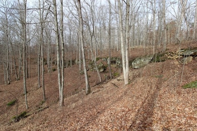 2559 Cr 16, Pedro, OH 45659 - photo 4