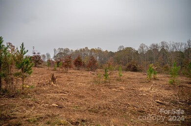 00 McCurry Farm Ln unit D, Lincolnton, NC 28092 - photo 3
