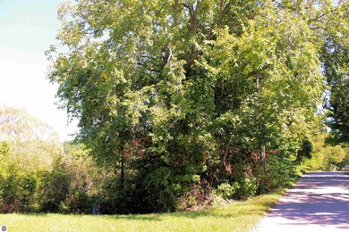00 Cedar St, Central Lake, MI 49622 - photo 3