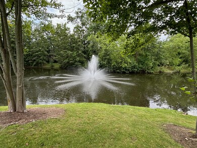 fountain 1