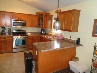 10375 Nelson St, Crown Point, IN 46307 - photo 4