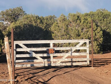 9974 Appaloosa Trail, Show Low, AZ 85901 - photo 4