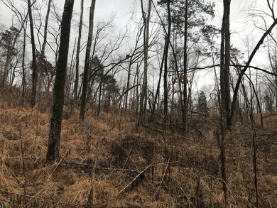 2 Alf Harris Rd, Prospect, TN 38477 - photo 4