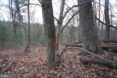 Lot 52 Pony Express Ln, Augusta, WV 26704 - photo 3