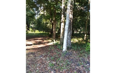 LOT39 Santa fe Dr, Fort White, FL 32038 - photo 4